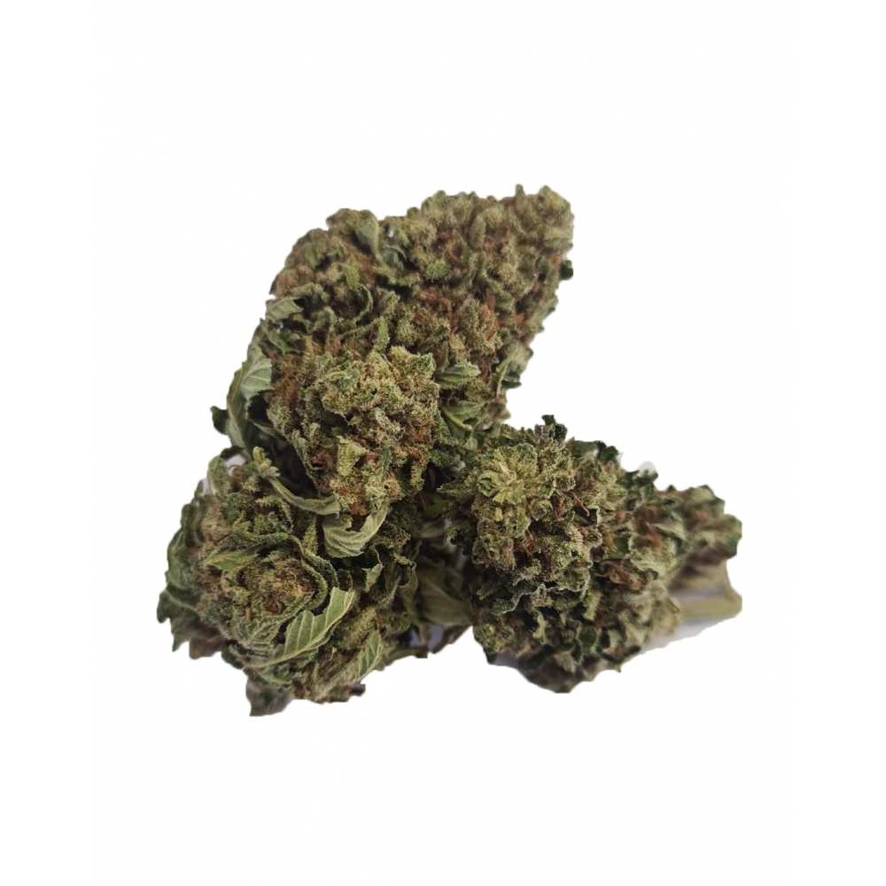 Skunk XL Indoor CBD Ultra