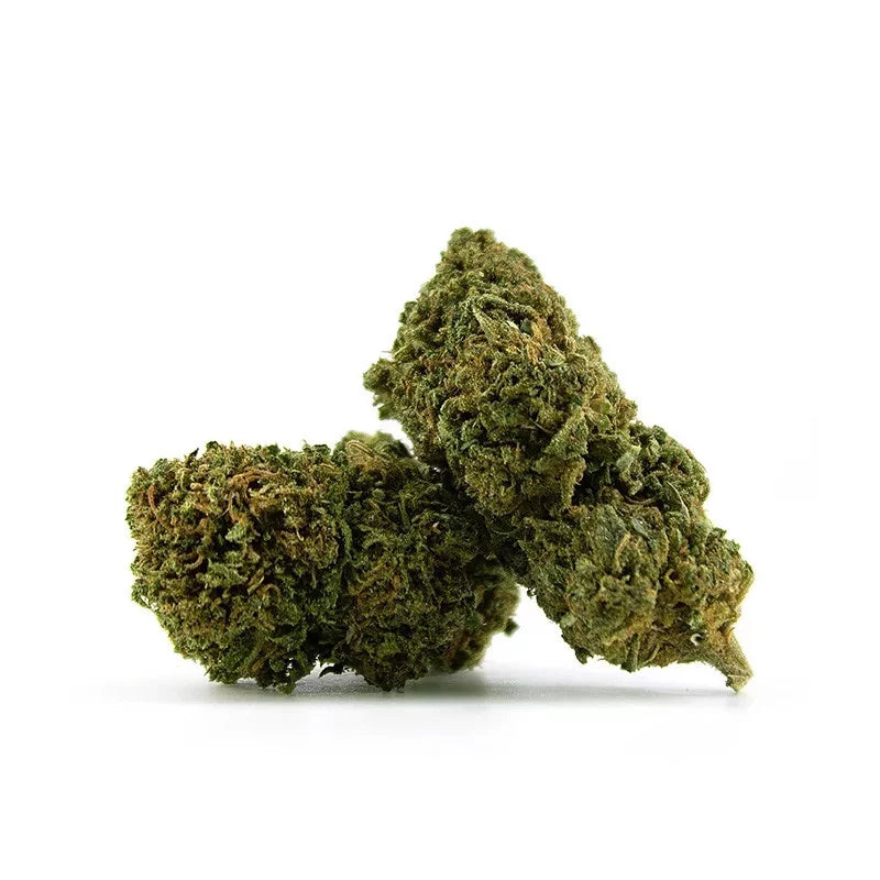 Jack Herer Greenhouse CBD Petit Prix